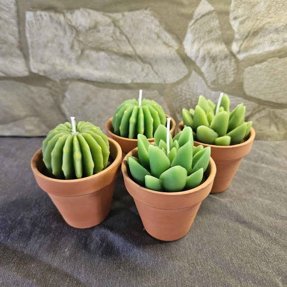 Homemade Beeswax Succulent/Cactus Pot Candles - Picture 2 of 8